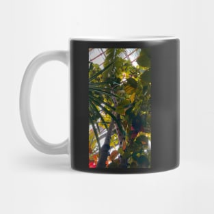 botany Mug